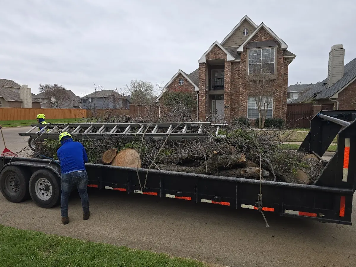 Expert Tree Removal with proper safety equipment in North Oxford